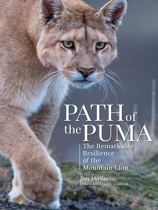 Title details for Path of the Puma by Jim Williams - Available